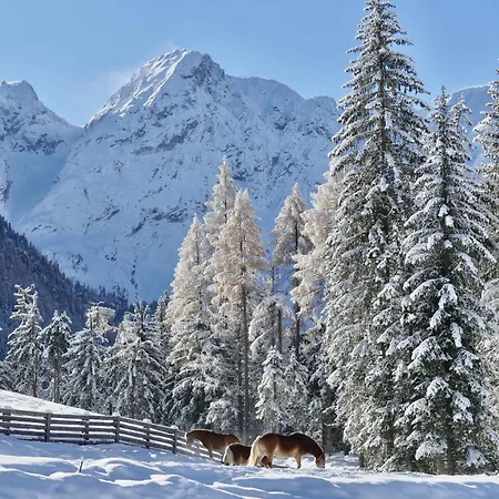 Gaestepension Klammer 3*