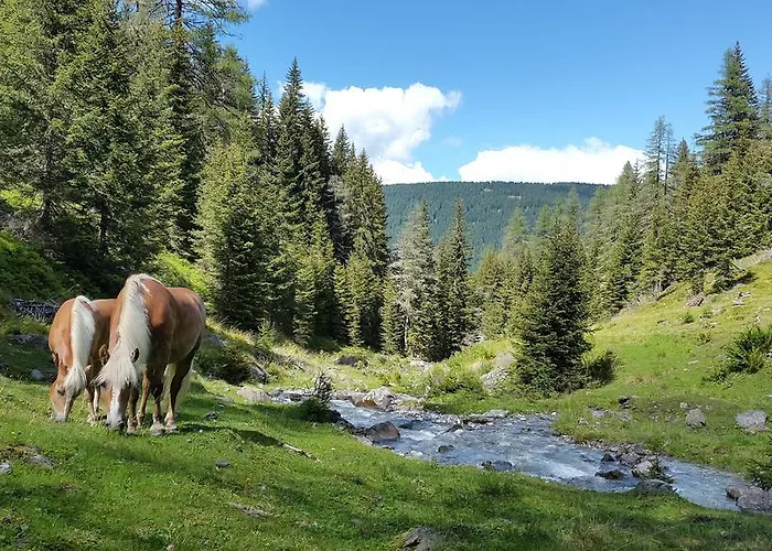 Vendégház Gaestepension Klammer Kartitsch