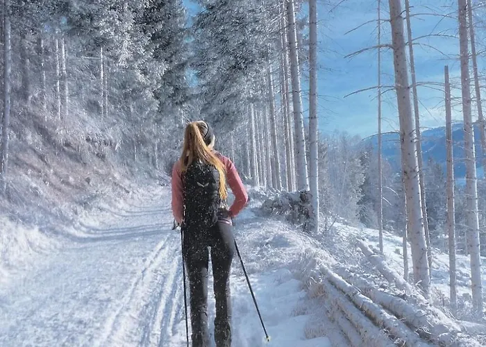 Gaestepension Klammer 3* Картитш