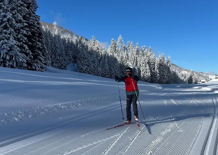 Gaestepension Klammer Гостевой дом