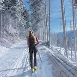 Gästepension Klammer 3* Kartitsch