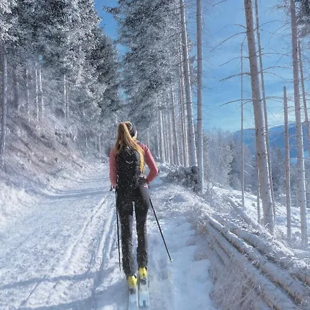 Gaestepension Klammer 3* Kartitsch